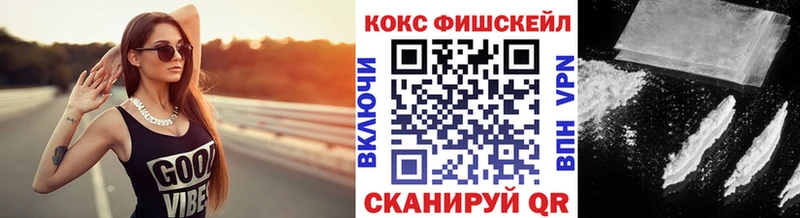 Cocaine Fish Scale  наркота  Сольвычегодск 